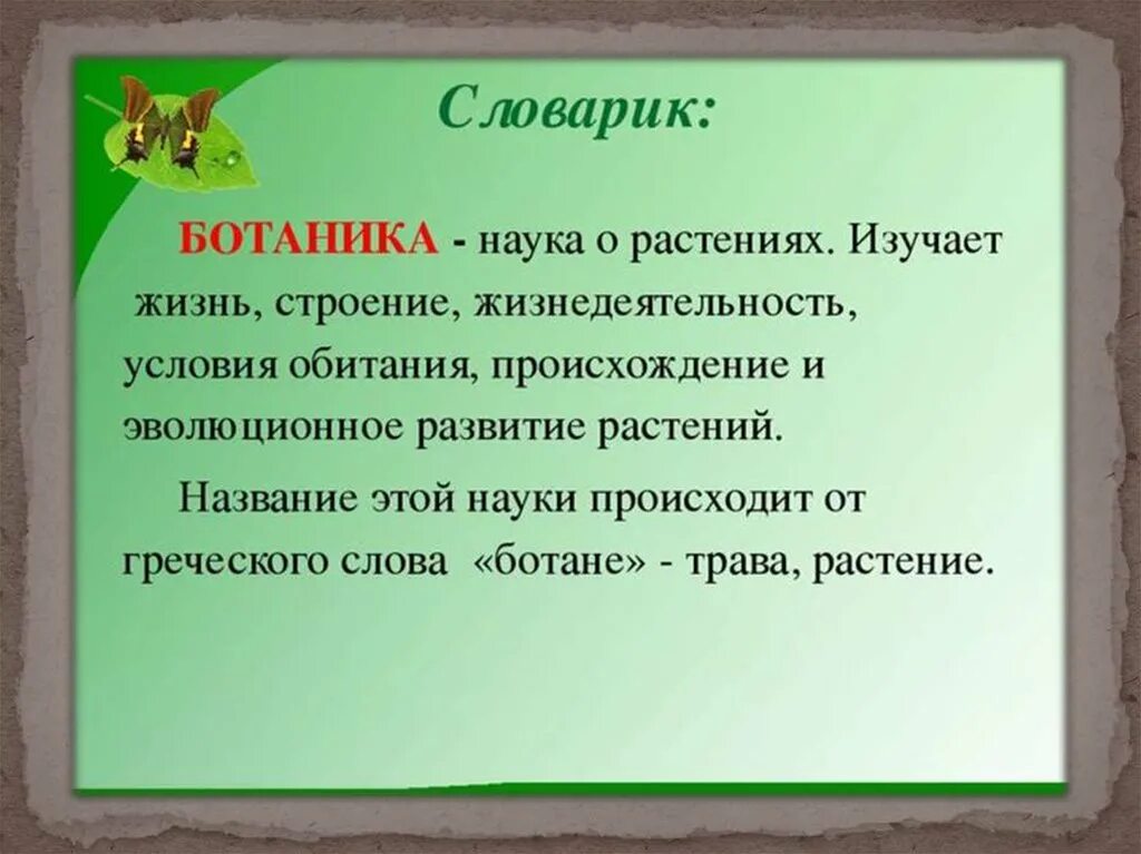 То есть наука о растениях составить предложение. Ботаника наука о растениях. Название науки о растениях. Ботанические науки о растениях. Ботаника изучает растения.