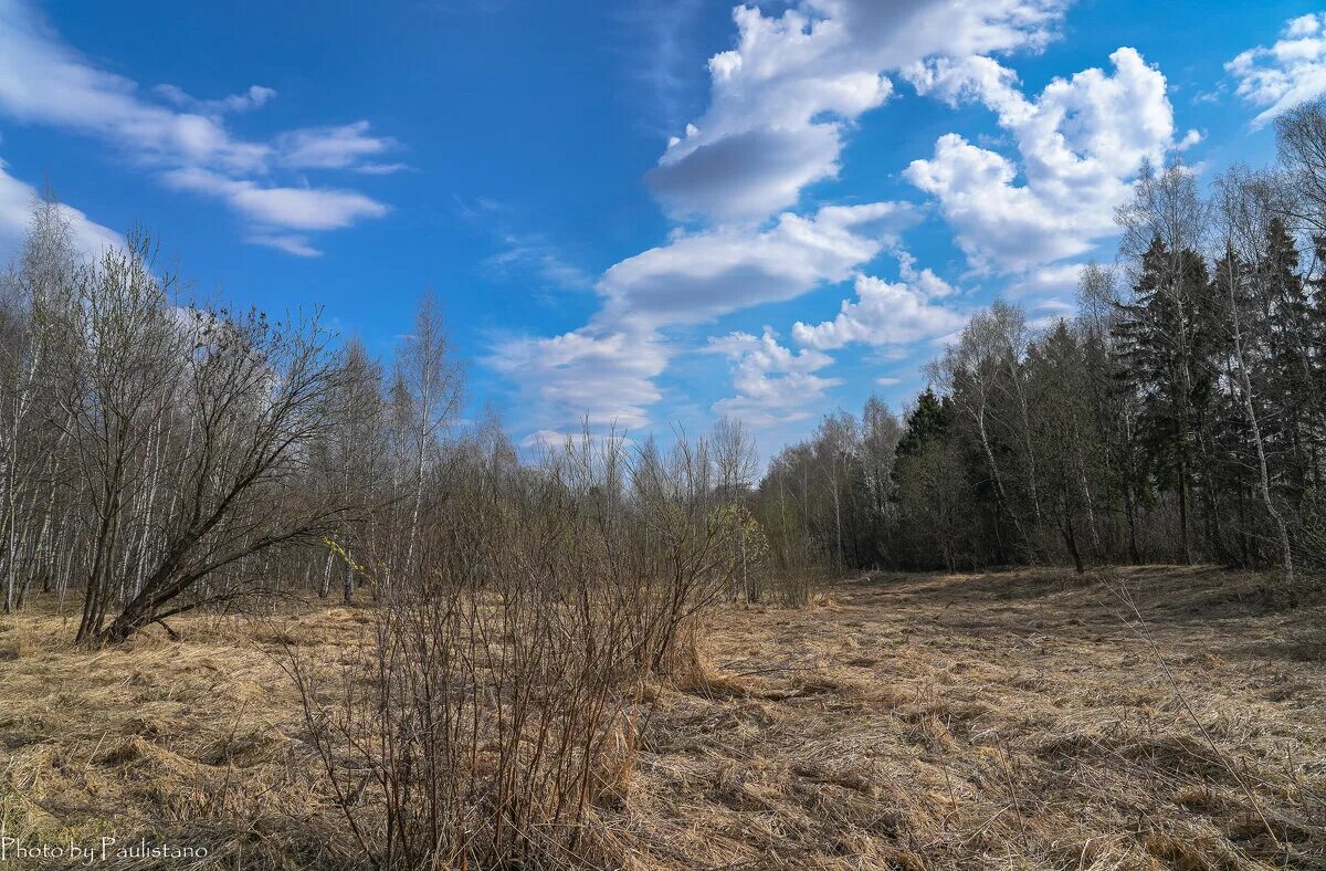 апрельское небо фото. фото апрельской природы. парк облака задонск. бьющий в апрельское небо над припятью. вечернее небо весной.
