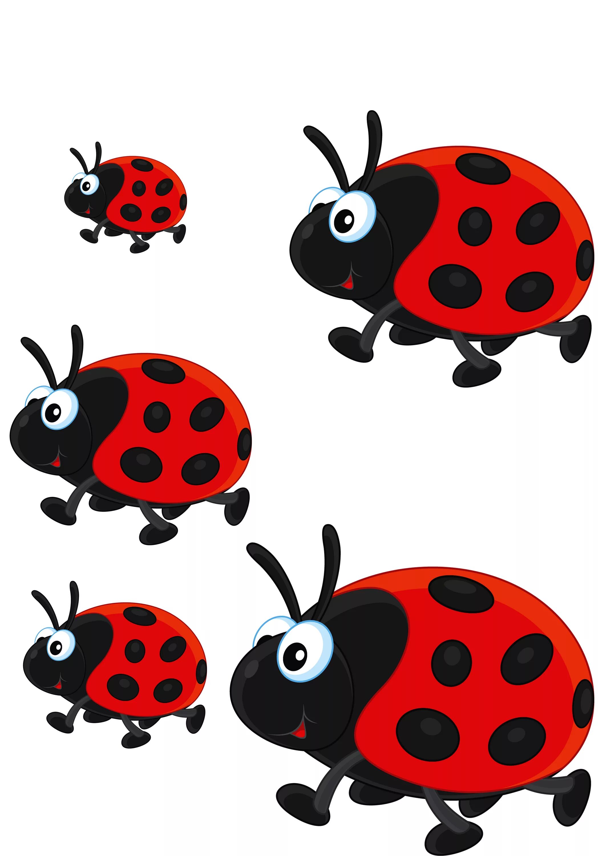 насекомые на цветах дошкольникам. насекомые для дошкольников. жук на белом фоне. найди жучка. насекомые рисунок.