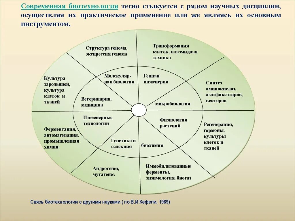 5 научных областей. Связь биотехнологии с другими науками. Взаимосвязь биотехнологии с другими науками. Взаимосвязь биологии с другими науками. Связь микробиологии с другими науками.