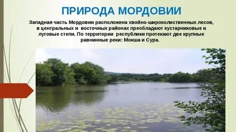 Проекты мордовии