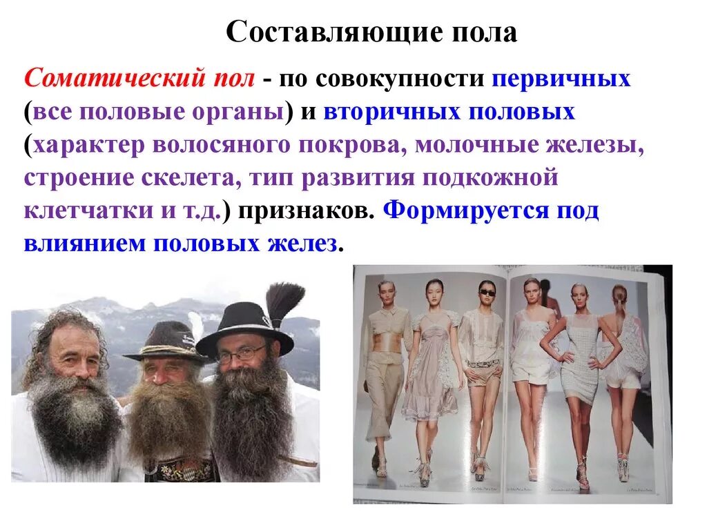 Полный половый. Полный половый. Польза воздержания. Полный половый. Полный половый.