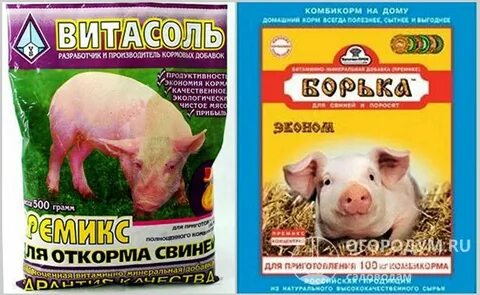 Можно давать комбикорм поросятам