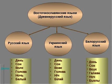 Восточные славяне относятся к языковой
