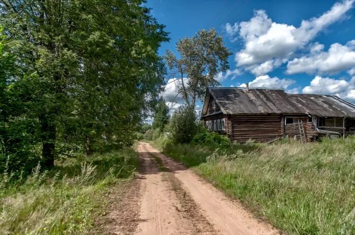 Деревня россия новгородской области. Горушка Новгородская область Любытинский район. Деревня удовище Новгородская область. Деревня горы Новгородская область Боровичского района. Деревня Клин Новгородской области.