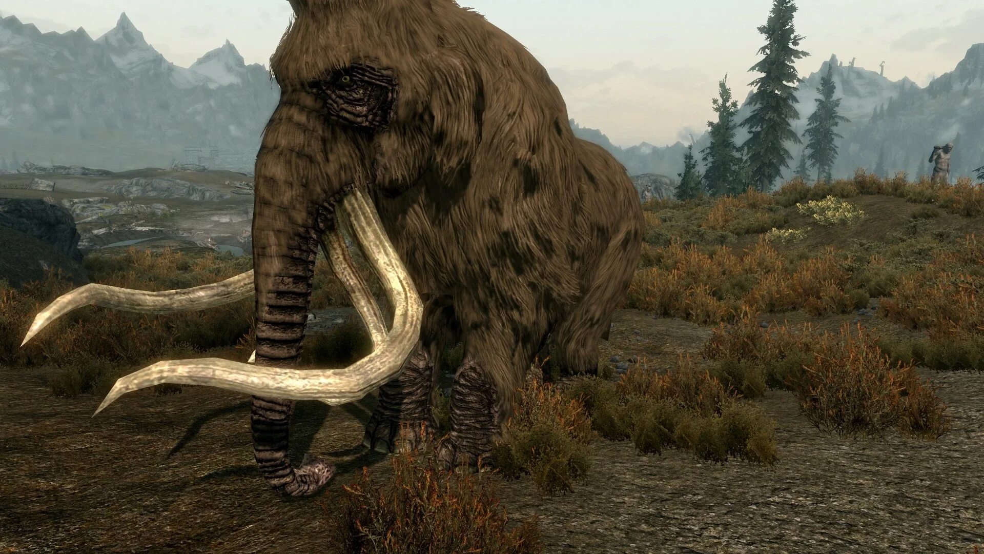 Мамонт блад. Skyrim мамонт. Скайрим мод ретекстур мамонта. Skyrim Mammoth. Мамонты скайрим.