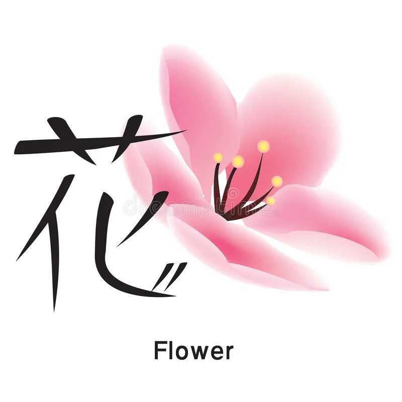 Иероглиф цвет. Японский иероглиф цветок. Японские иероглифы с цветами. 花 иероглиф. Цветок на фоне японских иероглифов.