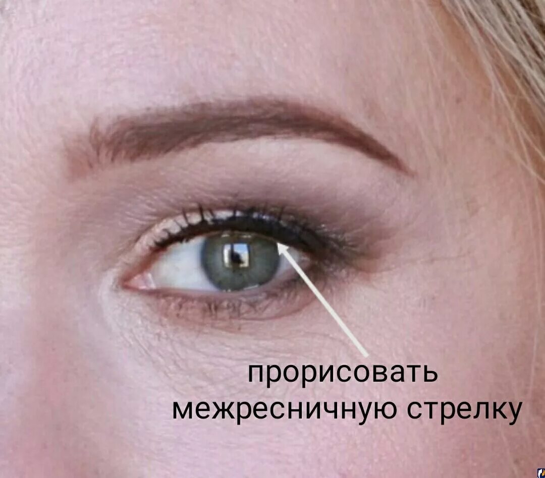 Подвижное веко где это. Что такое подвижное веко и складка века. Внутренний уголок глаза. Подвижное веко где это. Неподвижное веко где.