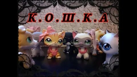 К о ш к а