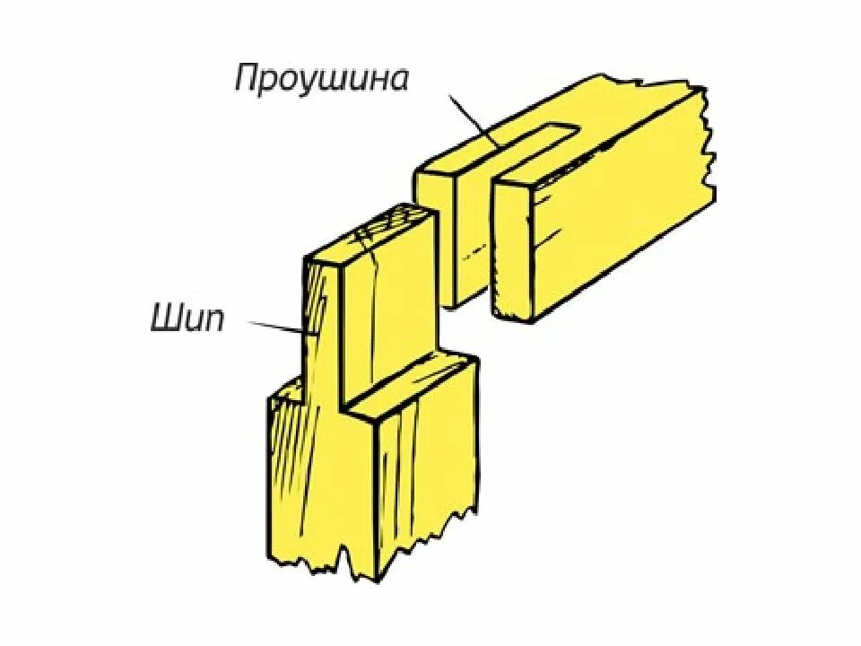 Выступ шипа