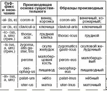 Краткие суффиксы в латинском