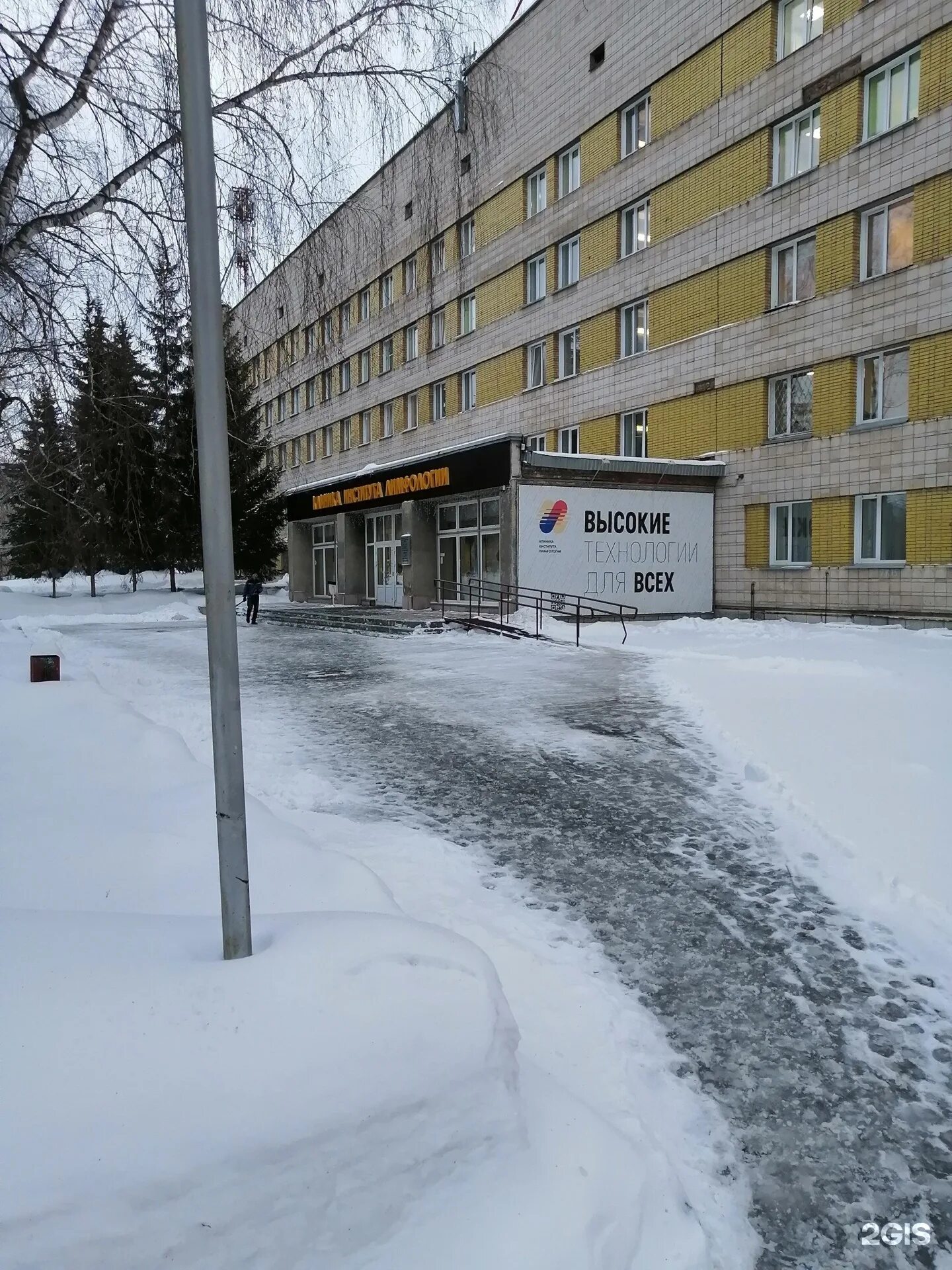 Нии лимфологии новосибирск. Арбузова 6 новосибирск. Нии лимфологии новосибирск. Фейсханова. Институт лимфологии новосибирск.
