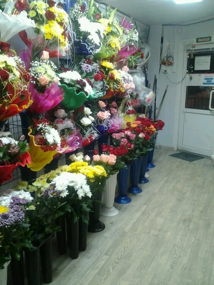 Мимоза цветочный магазин. Мимозы цветочный магазин. Цветочные на Гагарина. Много Мимоз цветочный магазин. Мимоза в цветочном магазине фото.