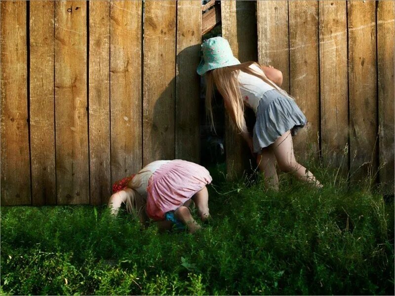 Поймала за подглядыванием. Любопытная девочка. Любопытство. Ребенок заглядывает за забор.