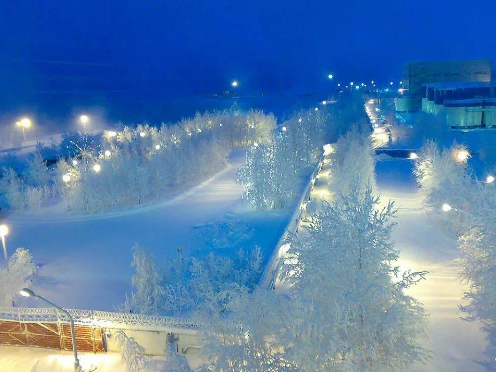Самые зимние