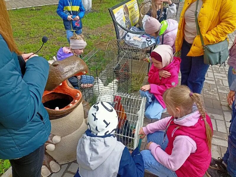 амурский тигр с тигрятами. ласковый зверинец. ласковый зверинец. ласковый зверинец. ласковый зверинец.