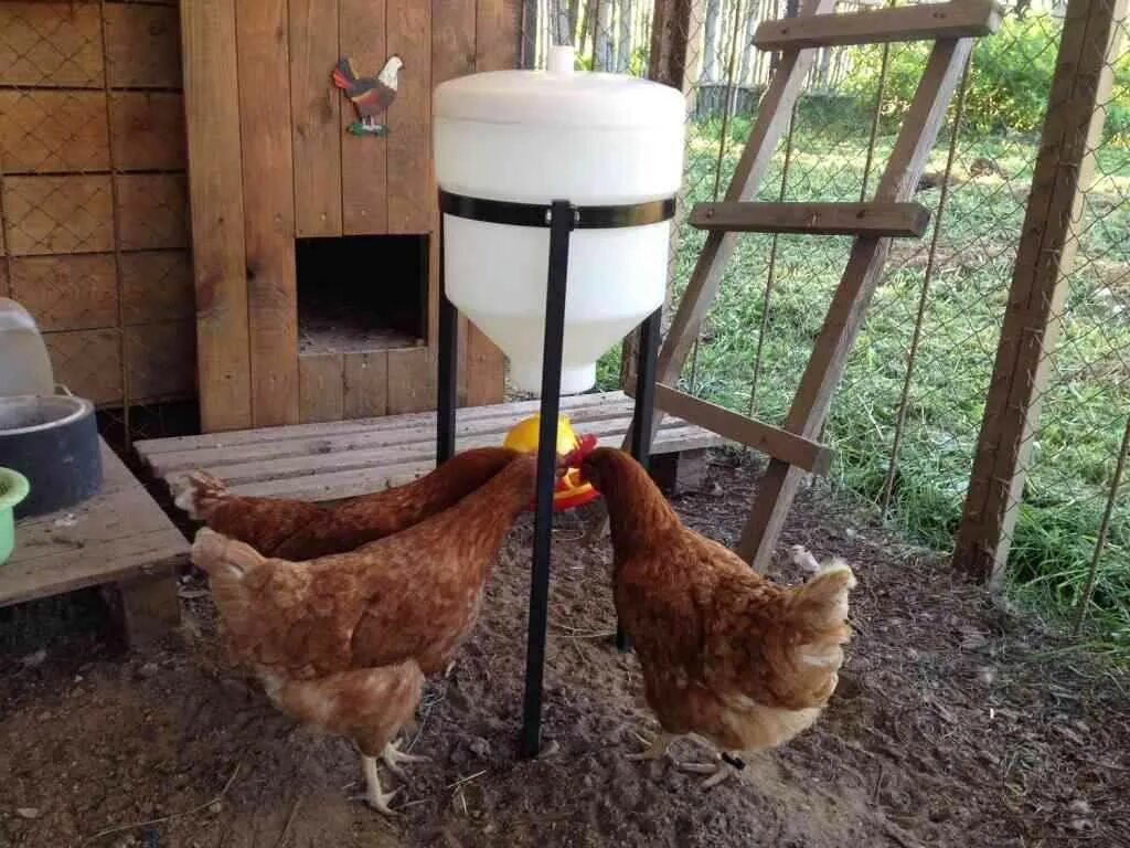 Оригинальные поилки для кур своими руками. Самодельные поилки для курей. Ниппельные поилки для цыплят. Поилки в курятнике. Поилка для кур своими руками.