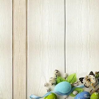 Фото фон отзывы
