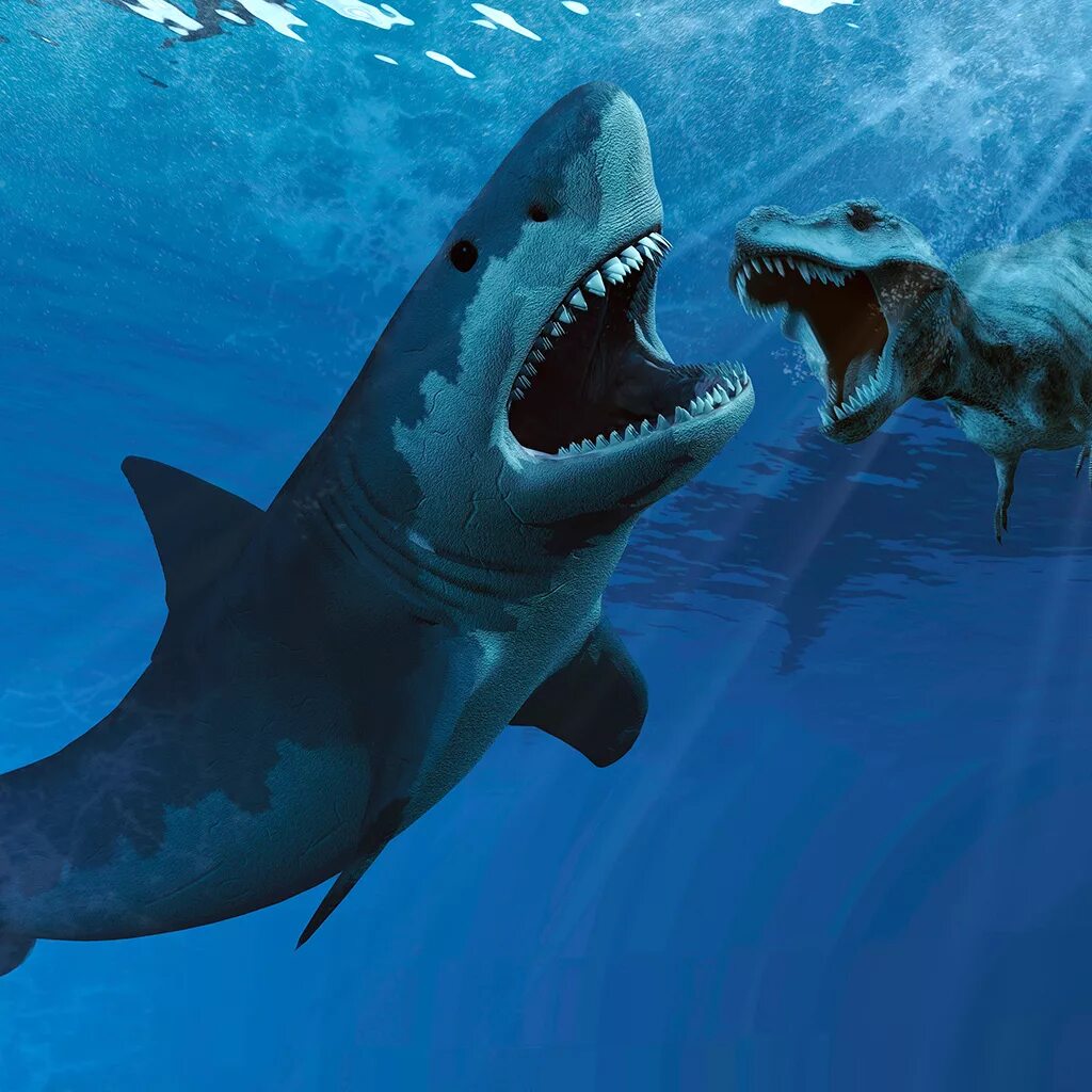 Мегалодон против. Акула мегалодон. carcharodon megalodon. акула мозазавр. мегалодон мегалодон это динозавр.