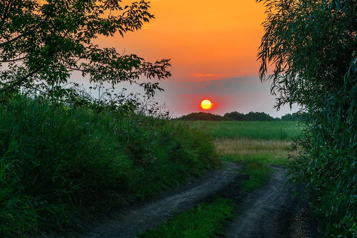 Лето закат. Лето вечер. Природа вечер. Вечерний закат. Летний вечер теплый самый был