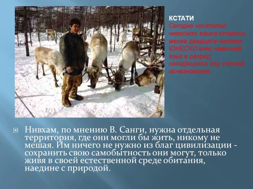 Нивхи сообщение. Санги нивхи. нивхи где живут.