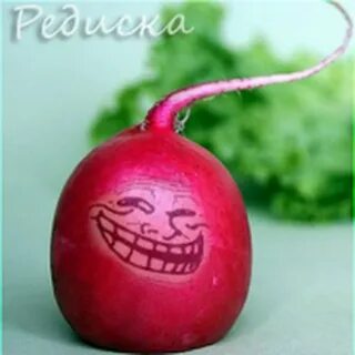 Редиска нехороший
