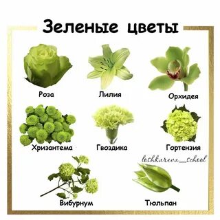 Зеленые имена