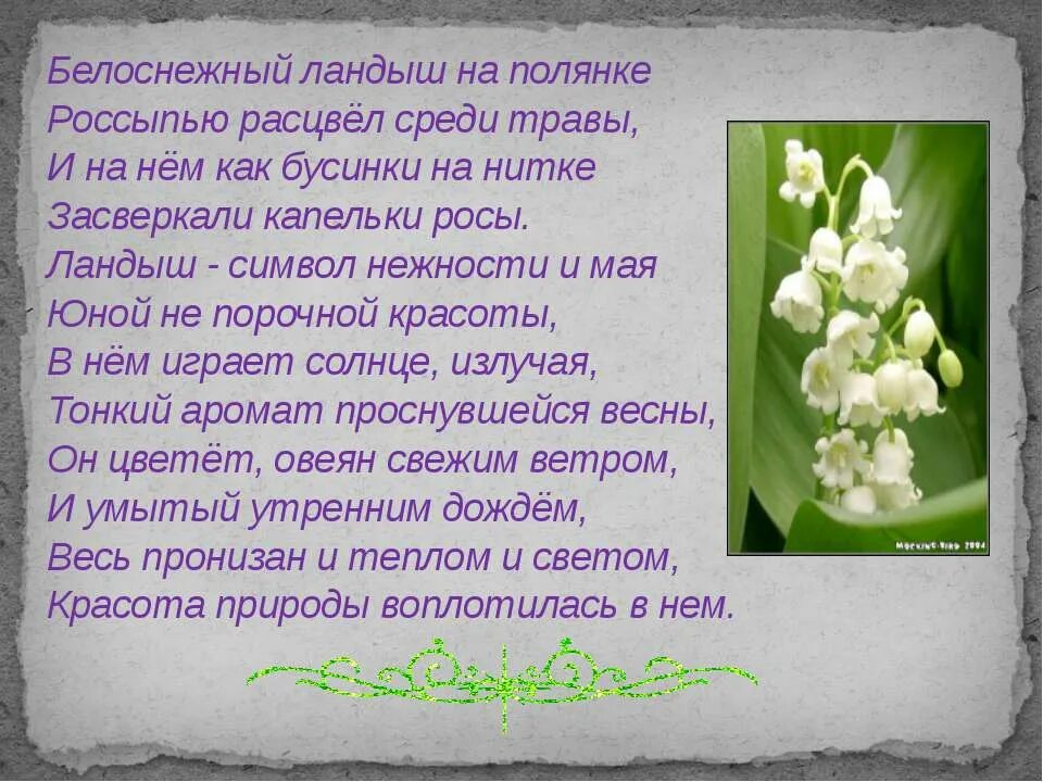 Ландыши песня с матом. Ландыши камыши текст. Текст песни ландыши. Ландыши камыши текст. Ландыши камыши текст.