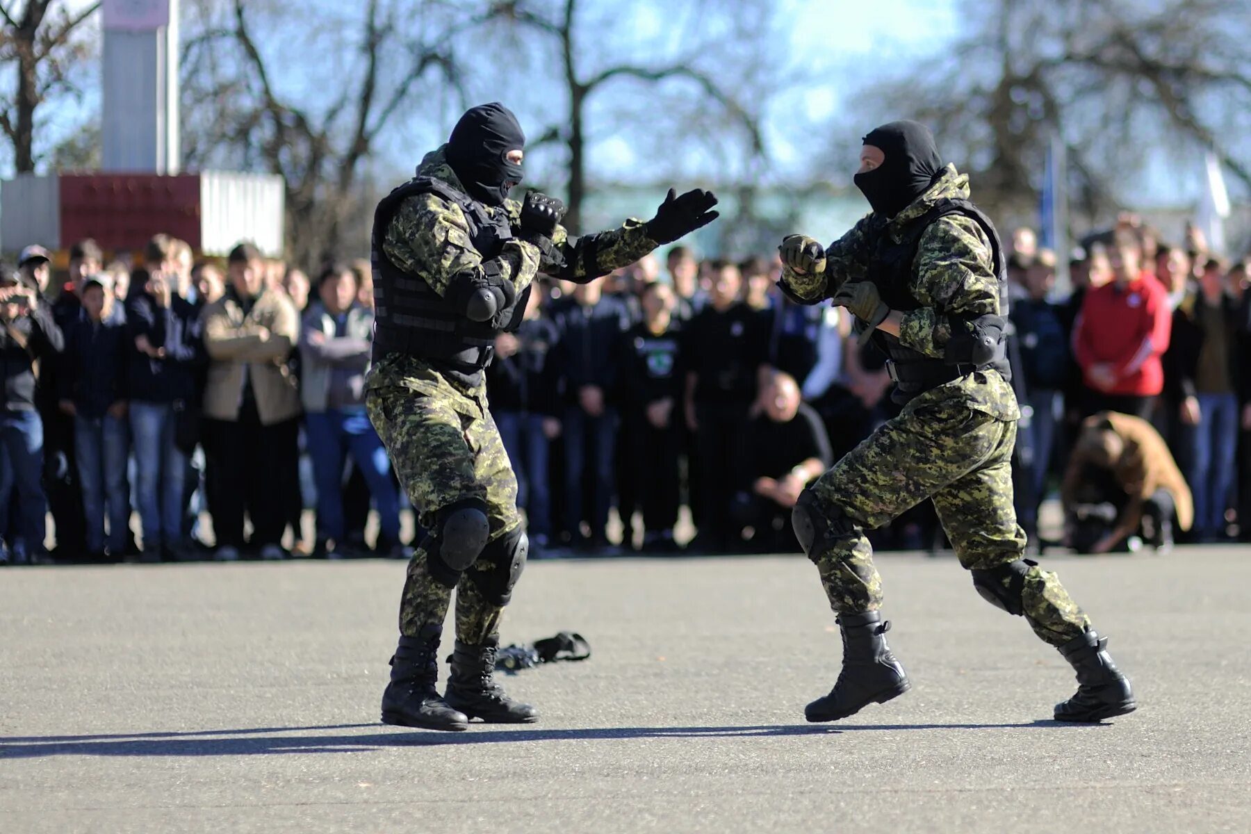 227 Майкоп. 227 Артиллерийская бригада город Майкоп. 227 Бригада Майкоп. Воинская часть 227 город Майкоп.