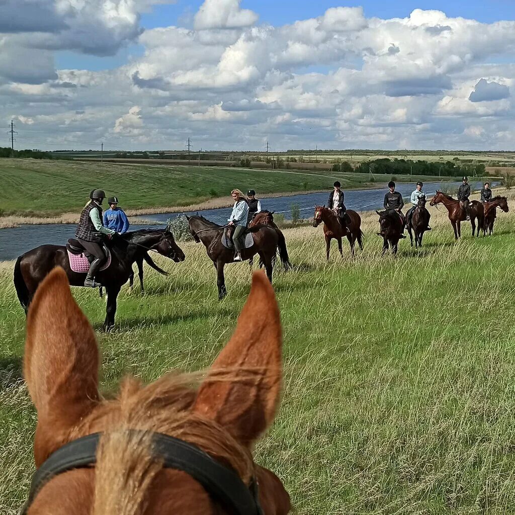 Кск 0. Село Парфеновка Самарская область. Парфеновка Кинельский район. Парфёновка Самарская область Кинельский район. Село Парфёновка Кинельский район Самарской области.