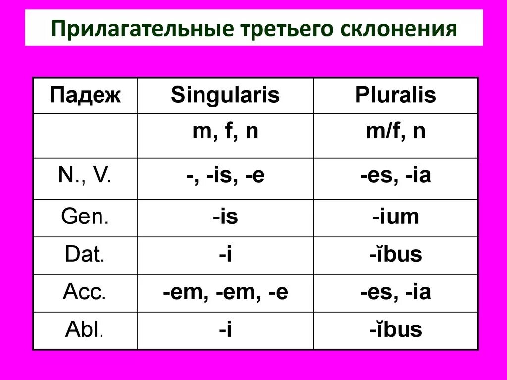2 склонение латынь