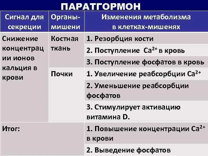 Клетки органы мишени. Клетки мишени паратгормона. Паратиреоидный гормон (паратгормон). Паратиреоидный гормон органы мишени. Паратгормон метаболизм.