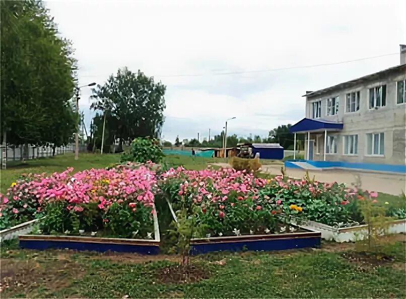 Пни пермский край. Калининский пни фото. Губаха зеленая зона психоневрологический интернат. Фото лямино заводская 2008. Пни пермский край.
