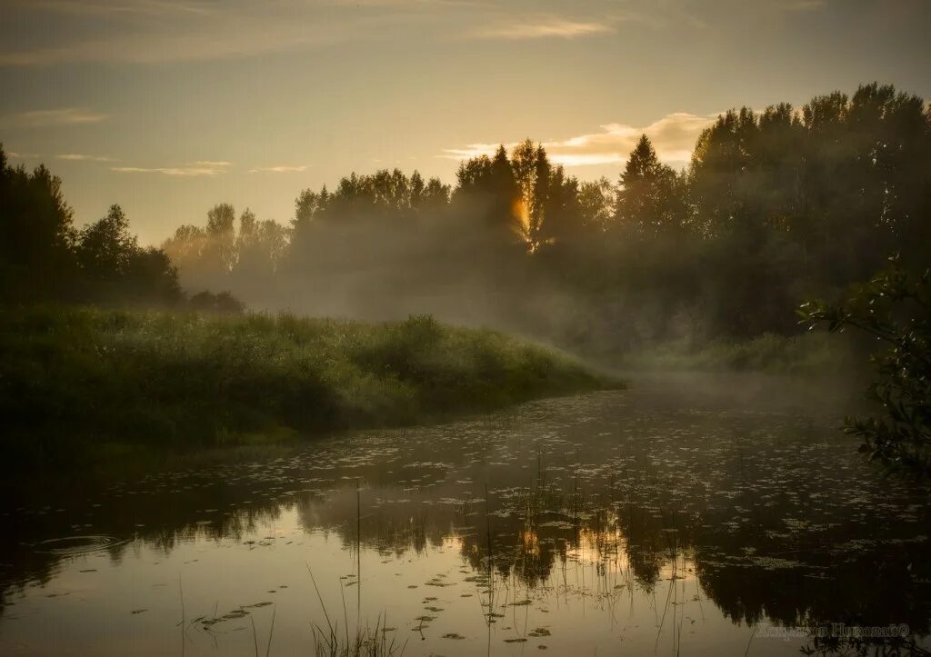 На рассвете я просыпаюсь туман шуршит в саду. Силуэты деревьев в тумане. Вдали туманной. Собор в калининграде в тумане. На рассвете я просыпаюсь туман шуршит.