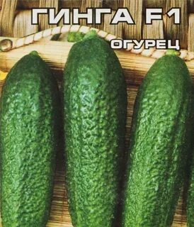 Огурец бухара