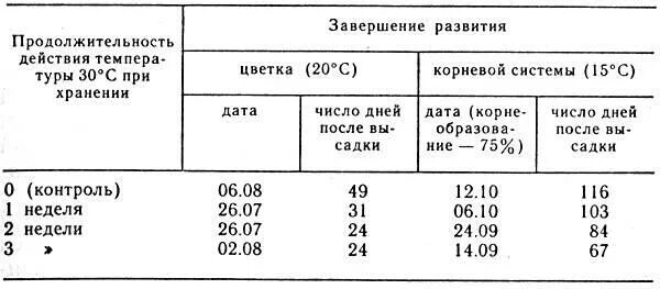 При какой температуре хранят тюльпаны без воды