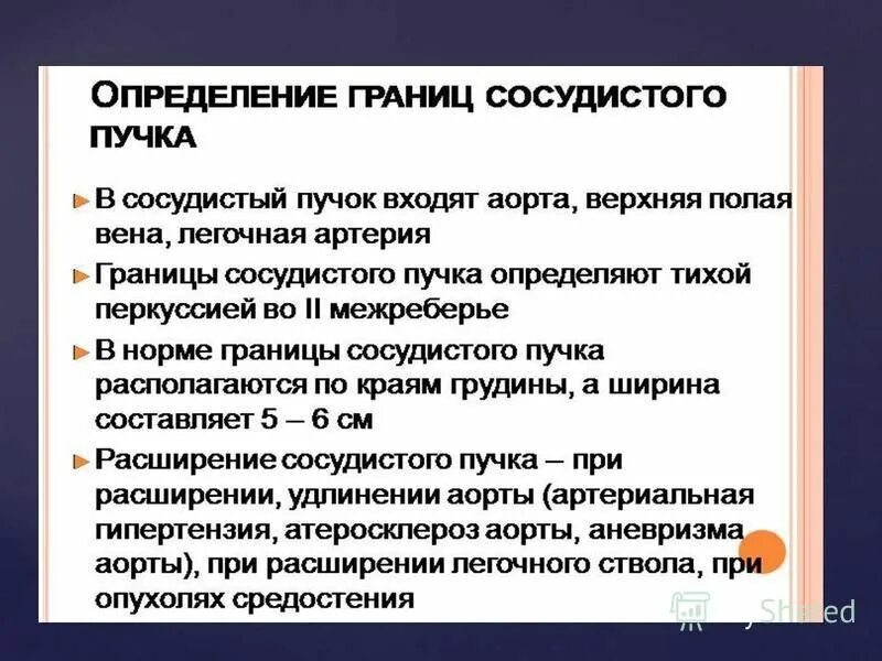 Что такое сосудистые пучки какую