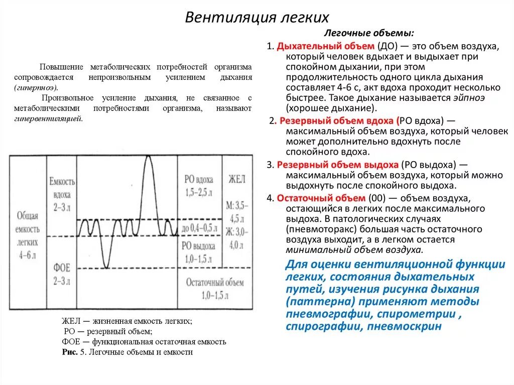 Максимальная жизненная емкость легких. Легочные объемы и жизненная емкость легких. Жизненная емкость легких легочная вентиляция.. Параметры вентиляции легких физиология. Количественная характеристика вентиляции легких..