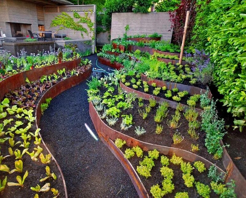 Декоративный город. Декоративный огород. Формы грядок. Красивые грядки на даче. Формы грядок.