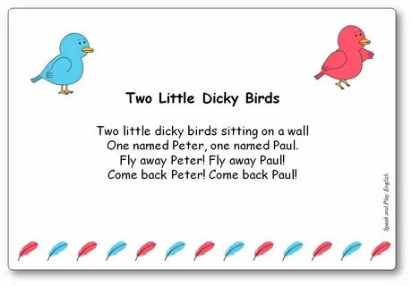 Bird text