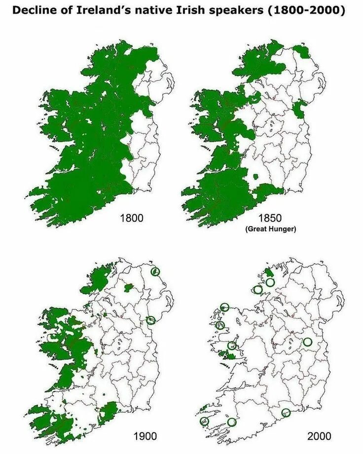 What is the official language of ireland