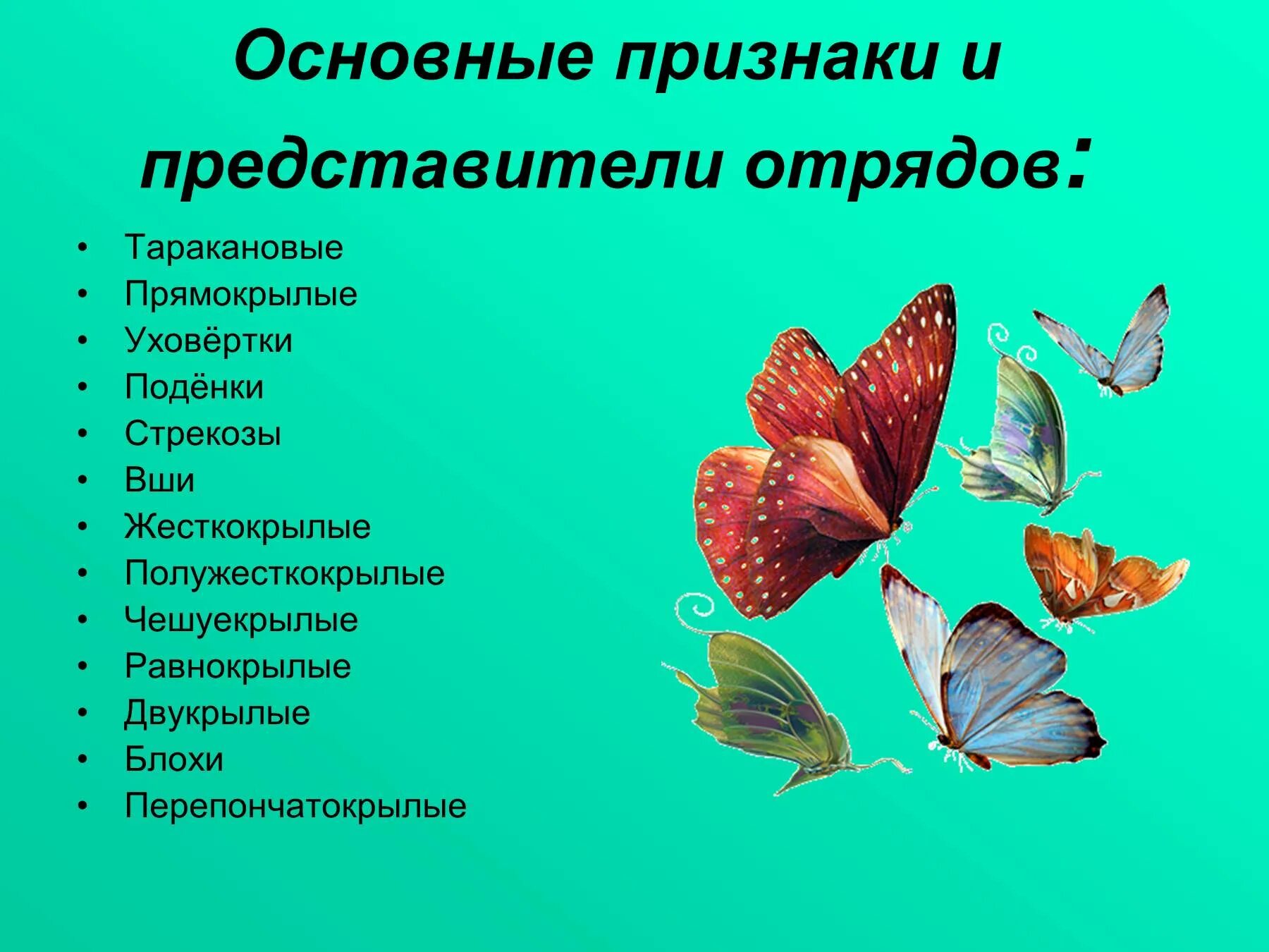 Характеристики отряда насекомых прямокрылые. Отряды насекомых презентация. Представители отрядов насекомых. Коллекция представители отрядов насекомых. Отряд насекомые урок.