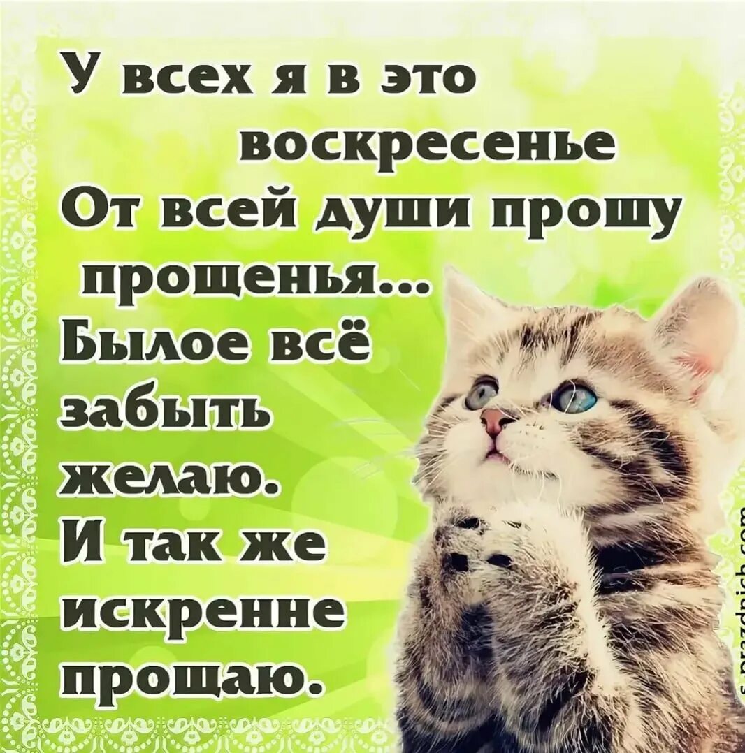 Картинка прости меня пожалуйста в прощенное воскресенье