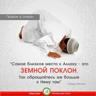 Дуа в суджуде