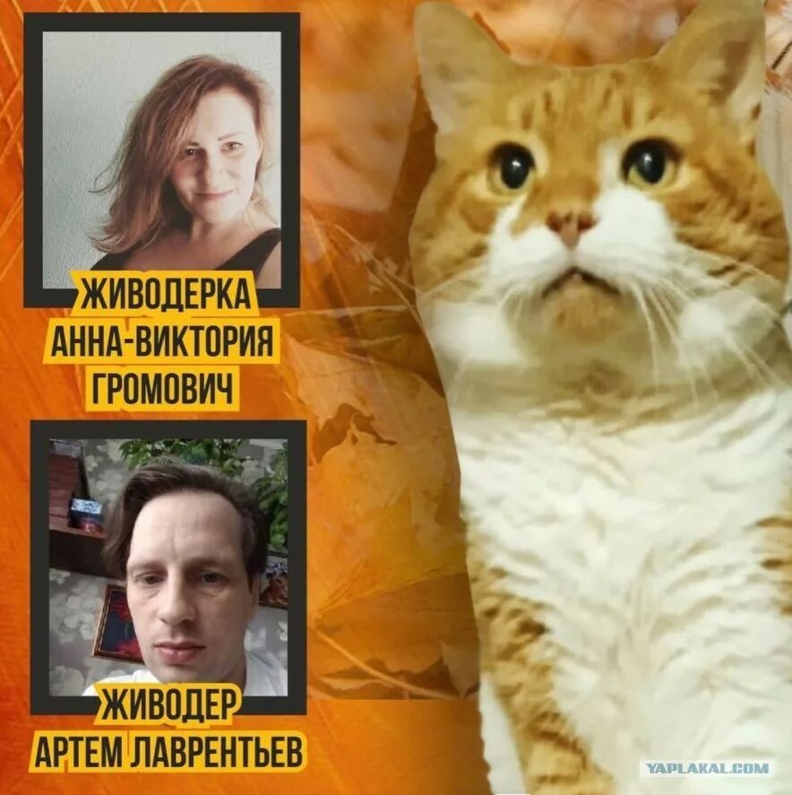 Кот кузя живодеры. Кот кузя живодеры. Кот кузя живодеры. Анна-виктория громович кот кузя. Кот кузя живодеры из северодвинска.