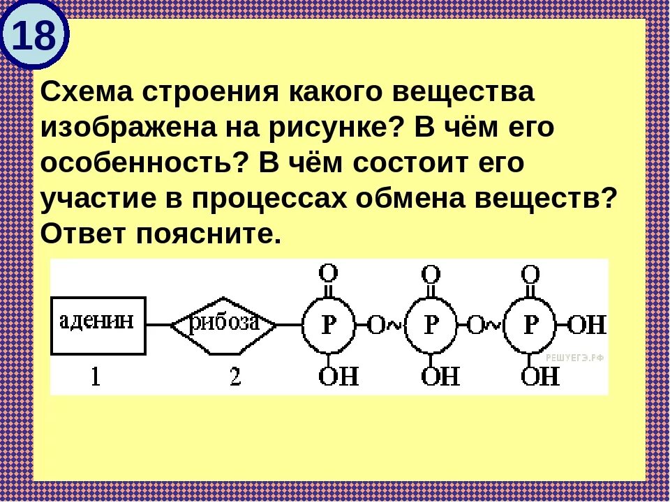 Схема молекулы АТФ. Схема строения АТФ. АТФ ЕГЭ. Схема какого вещества изображена на рисунке.