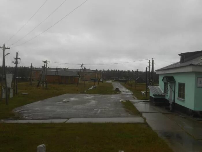 Погода войвож коми сосногорский