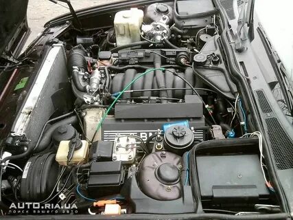 A 5 a 60 b 40