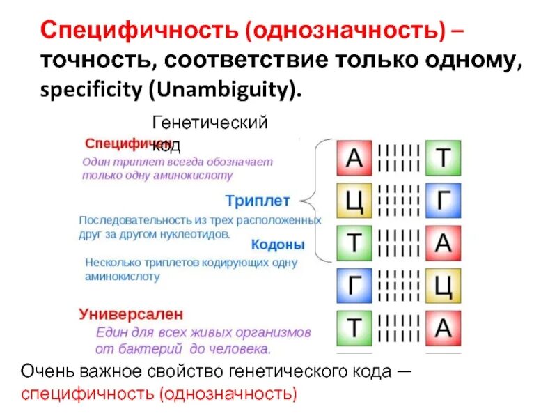 Свойства ген кода. Специфичность генетического кода. Однозначность генетического кода. Свойства генетического кода специфичность. Свойства генетического кода однозначность.