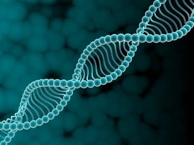 Живое днк. Днк dna. геномная днк. наследственная предрасположенность. клетка днк человека.